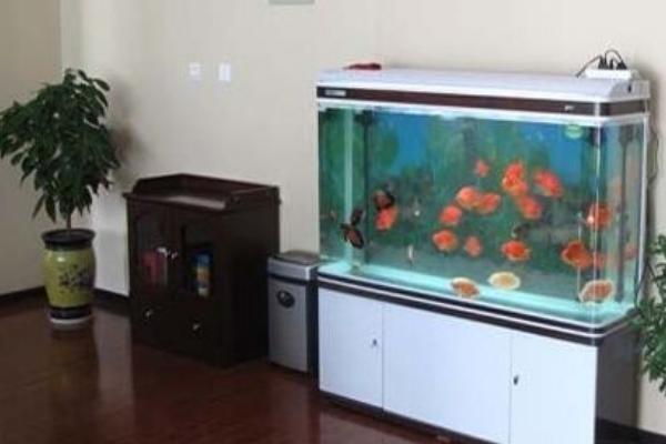 办公室鱼缸摆放位置风水图 老总办公室鱼缸摆放图