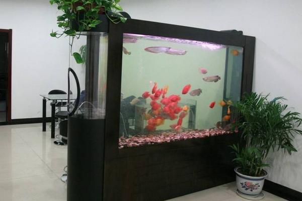 办公室鱼缸摆放位置风水图 老总办公室鱼缸摆放图