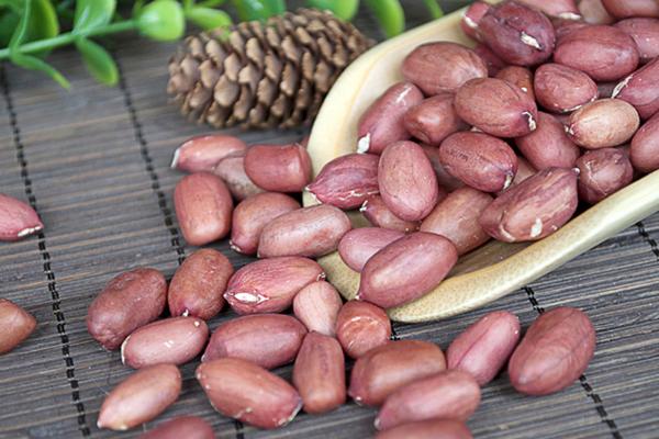 卤花生怎么做 吃花生有什么好处