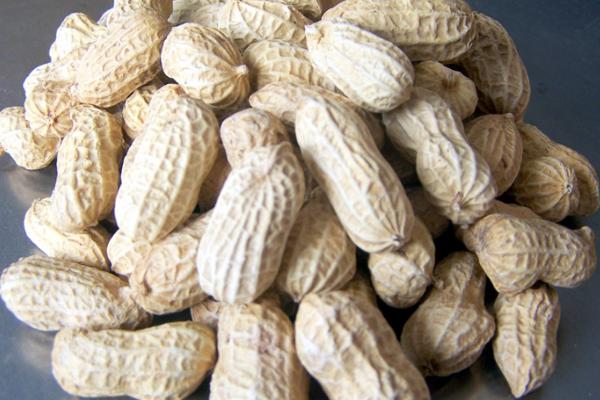 结石可以吃花生吗 甲亢可以吃花生吗