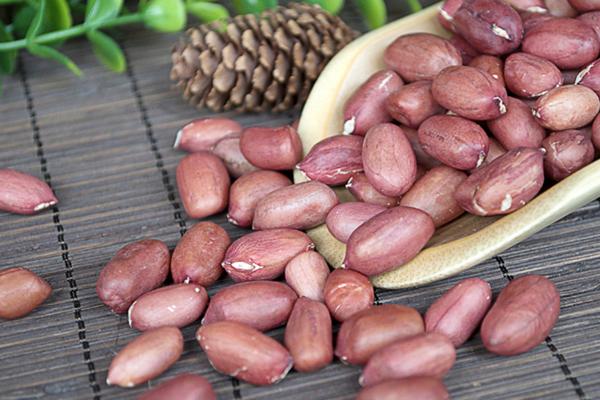 结石可以吃花生吗 甲亢可以吃花生吗