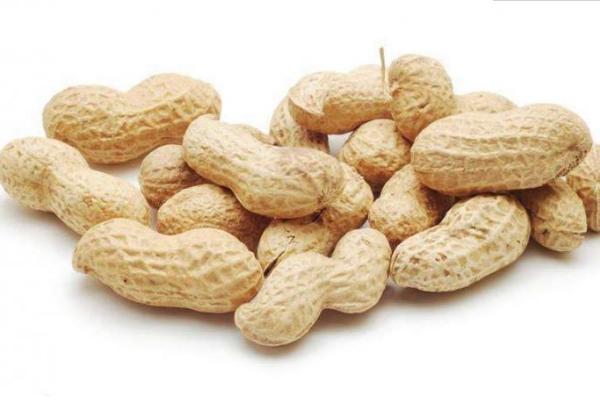 结石可以吃花生吗 甲亢可以吃花生吗