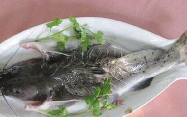 芝麻剑鱼多少钱一斤? 什么是芝麻剑鱼