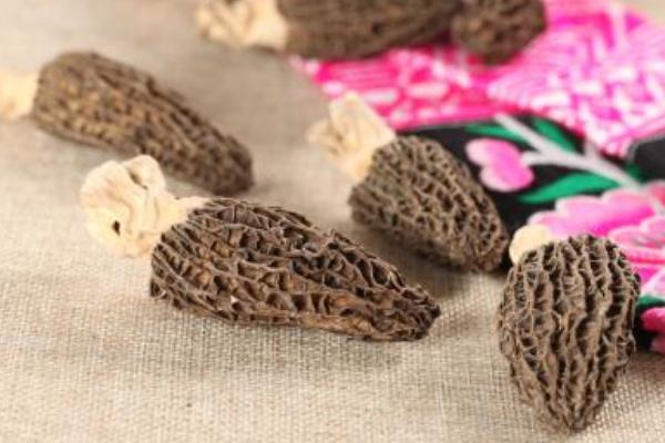 羊肚菌市场价格多少钱一斤 羊肚菌大的好还是小的好