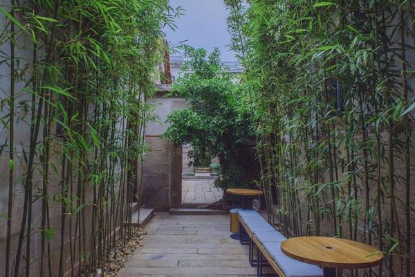 室内养竹子风水好吗 门口种竹子风水好吗