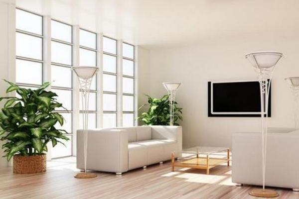 室内招财风水布局 招财风水方法有哪些