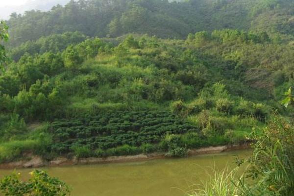 风水宝地怎么看 风水宝地的意思是什么
