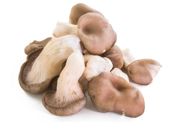 秀珍菇要不要焯水 秀珍菇不能和什么同吃