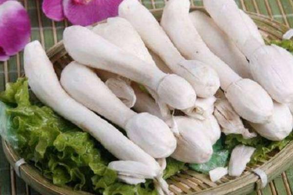 毛头鬼伞菇市场价格多少钱一斤 毛头鬼伞菇什么季节上市