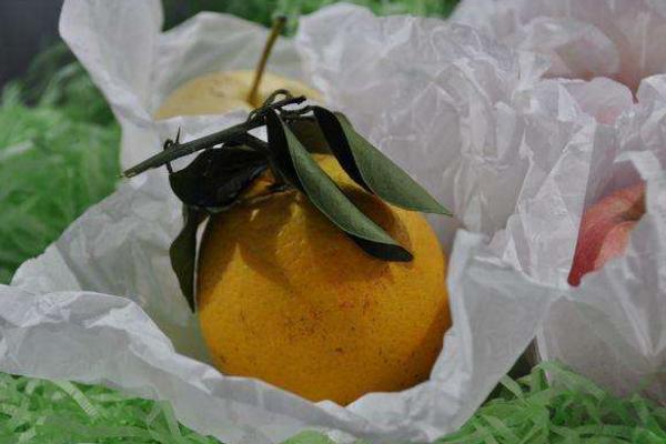 雪梨纸是什么 雪梨纸包装方法