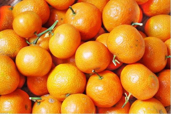 沙糖桔产地在哪里 沙糖桔是什么季节的水果