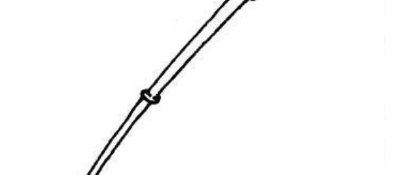 莲花竹简笔画(图解步骤) 养莲花竹的寓意