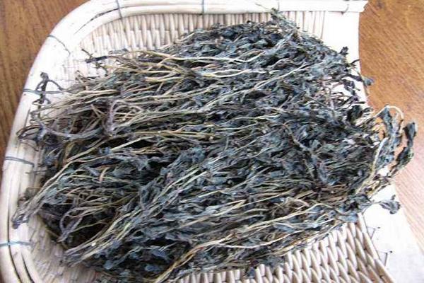 干马齿苋怎么吃 干马齿苋泡水喝的功效与作用