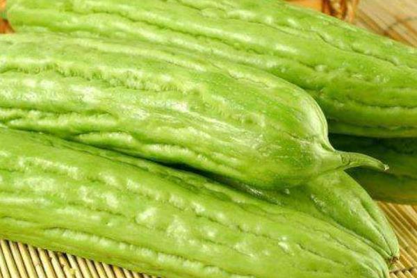 苦瓜价格多少钱一斤 苦瓜市场怎么样