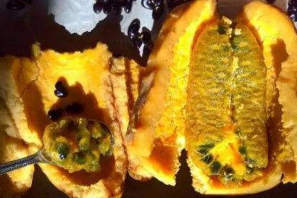 牛卵坨什么时候上市(几月熟) 牛卵坨籽可以吃吗