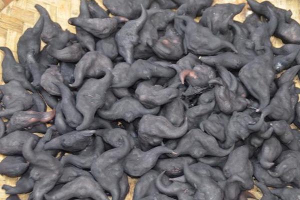 菱角怎么剥壳(快速技巧) 菱角怎么洗