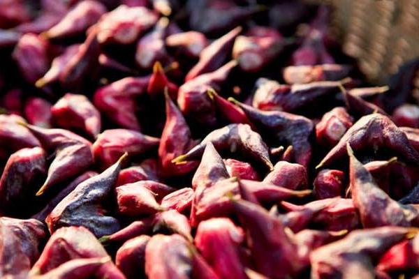 菱角长在哪里 菱角什么时候成熟上市(几月)