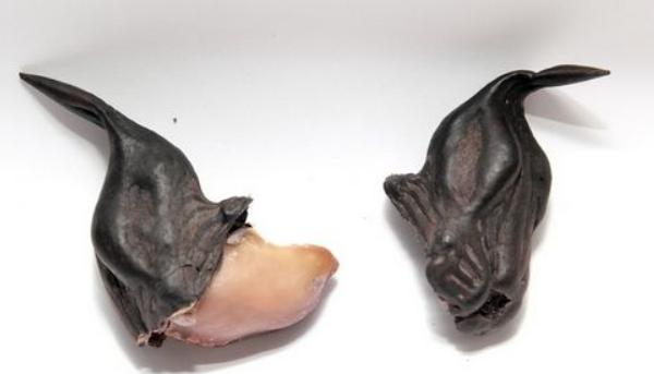 菱角长在哪里 菱角什么时候成熟上市(几月)