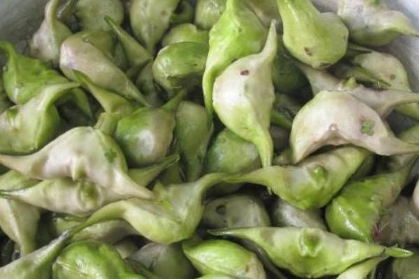 菱角怎么保存 干菱角米怎么泡发