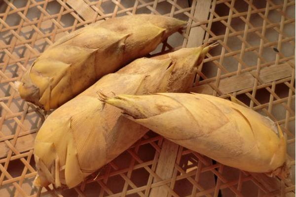 冬笋几月上市 冬笋怎么处理