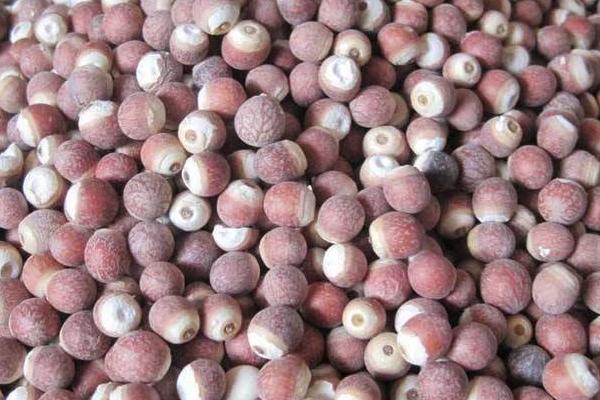 芡实是什么东西 芡实哪里产的最好