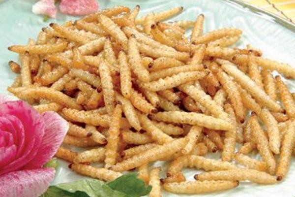 天牛幼虫可以吃吗 天牛幼虫的营养价值