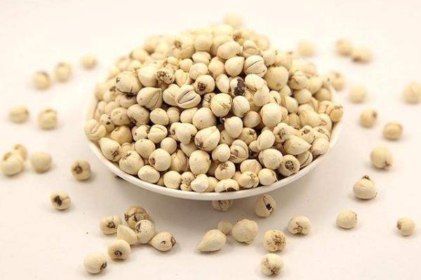 贝母市场价格多少钱一斤 贝母有哪些品种