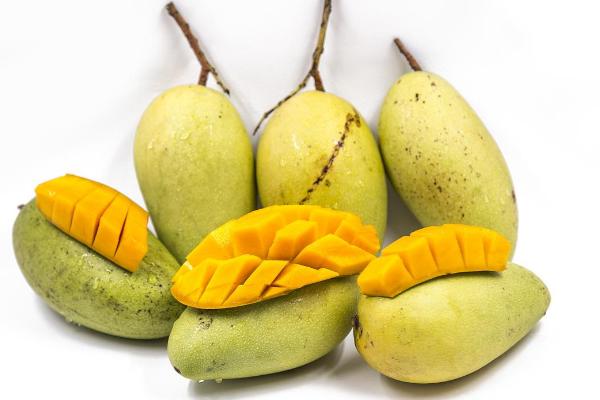 特别大个的芒果叫什么 大芒果的功效与作用