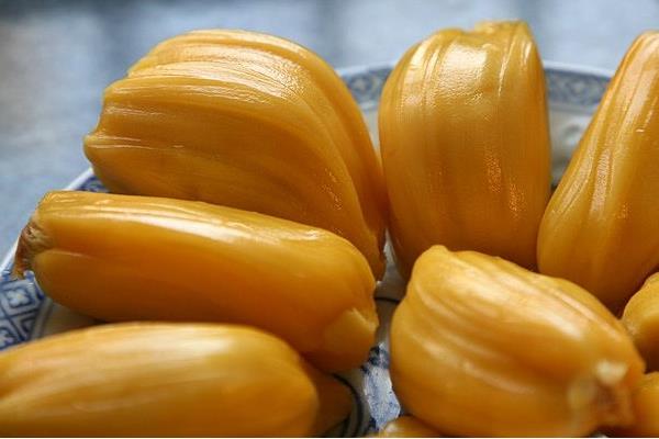 木菠萝和菠萝蜜的区别是什么 木菠萝什么时候成熟