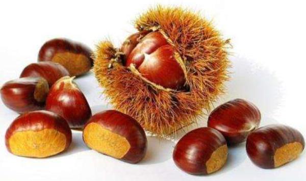 板栗什么时候上市(几月) 板栗之乡在哪里
