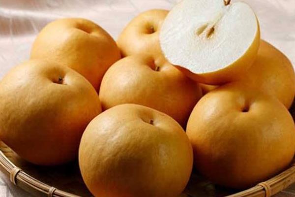 金秋梨功效与作用 金秋梨产地在哪里