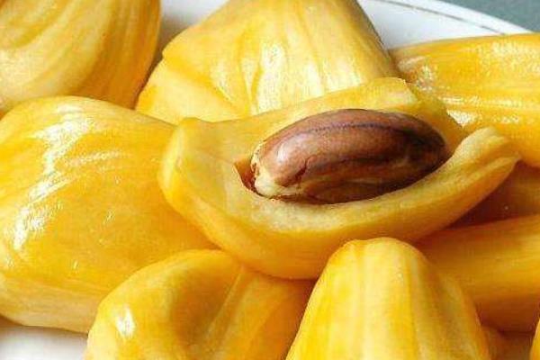 菠萝蜜怎么辨别生熟 菠萝蜜熟到什么程度可以吃