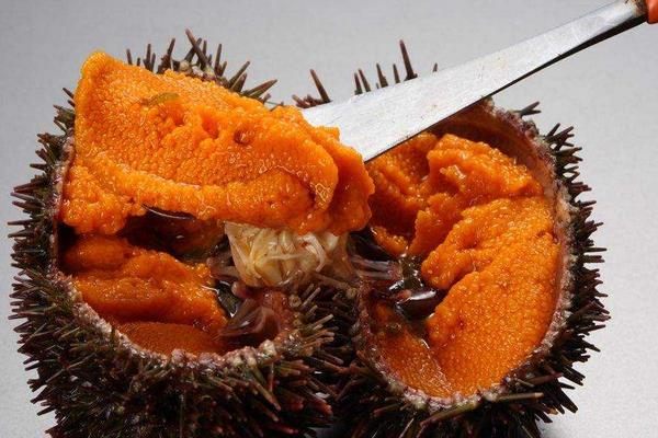 海胆水饺好吃吗 海胆水饺怎么做