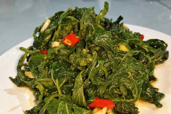 槐树的叶子像什么 槐树叶子能吃吗