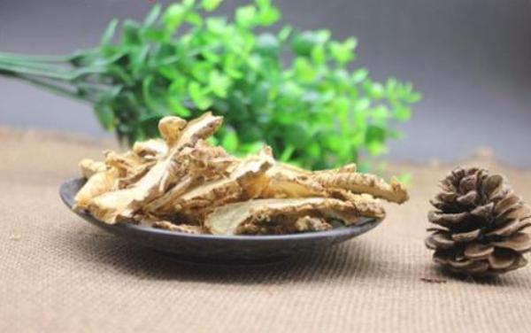 知母的功效与作用及禁忌 知母的药用价值