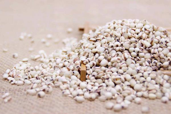 大薏米和小薏米的区别是什么 大薏米和小薏米哪个好