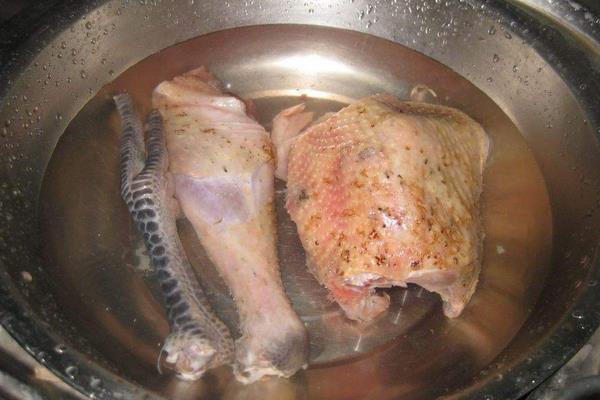 狗能吃香菇吗 狗可以吃香菇鸡汤吗