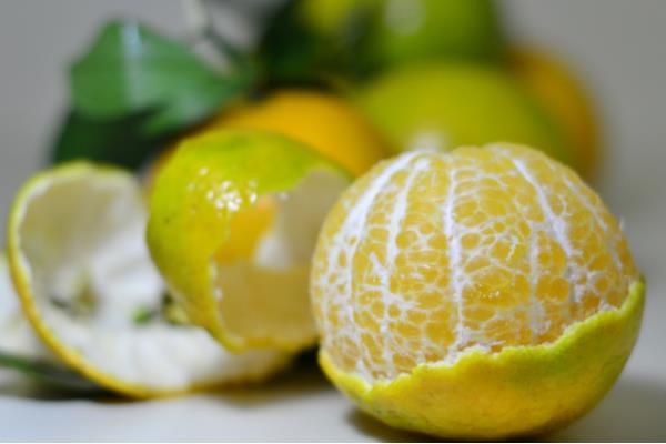 皇帝柑功效与作用及禁忌(上火吗) 皇帝柑营养价值