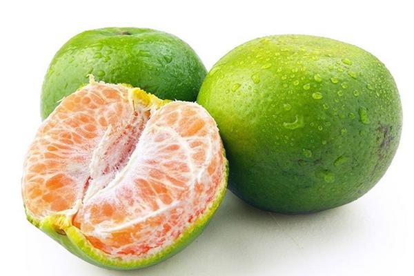 青橘什么时候成熟(几月上市) 青橘什么时候吃(最晚几月还有)