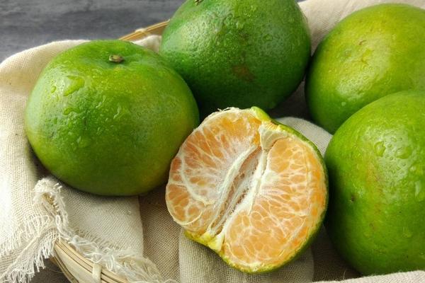 青橘什么时候成熟(几月上市) 青橘什么时候吃(最晚几月还有)