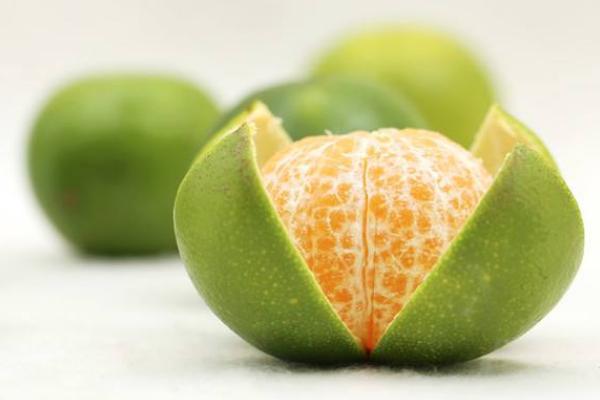 青橘什么时候成熟(几月上市) 青橘什么时候吃(最晚几月还有)