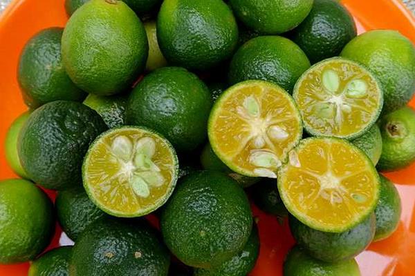 青金桔怎么保存(延长保存时间) 青金桔能不能冷冻保存