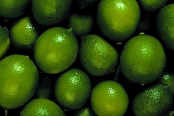 青金桔怎么保存(延长保存时间) 青金桔能不能冷冻保存