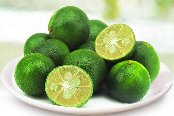 青金桔怎么保存(延长保存时间) 青金桔能不能冷冻保存