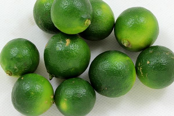 青金桔怎么保存(延长保存时间) 青金桔能不能冷冻保存