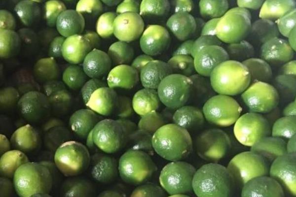 酸柑是什么 酸柑怎么吃(孕妇可以吃吗)