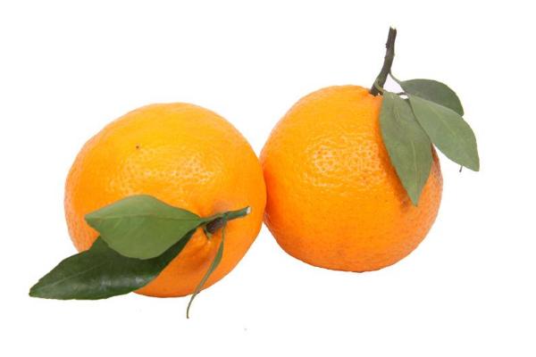 贡柑市场价格多少一斤 贡柑几月成熟(什么时候上市)