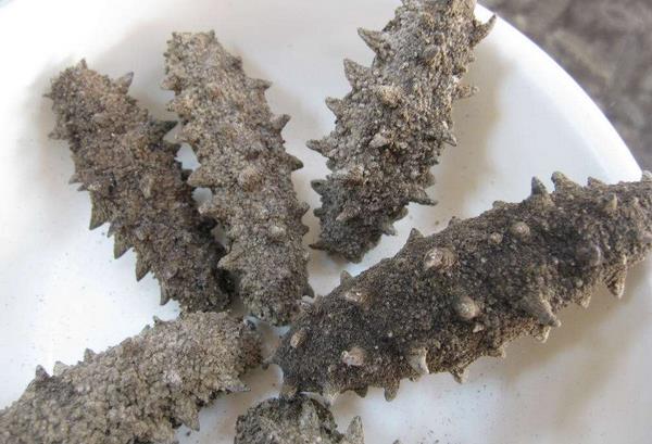 干刺参市场价格多少钱一斤 干刺参怎么泡发