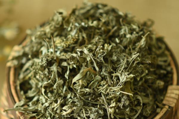 艾叶可以驱蚊吗 艾叶可以做枕头吗