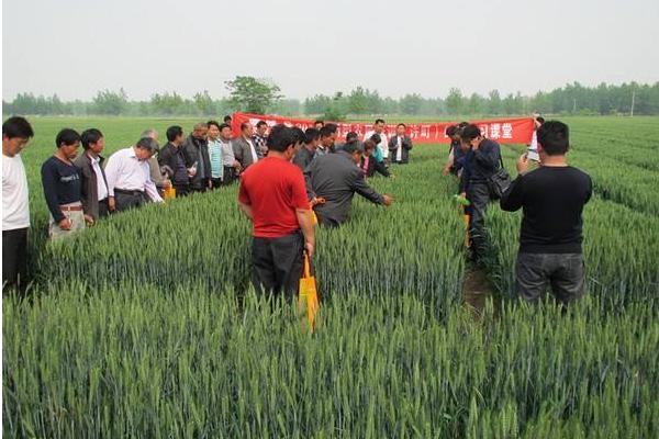 种田大户的现状如何 为何无法坚持下去 种田大户说出实情